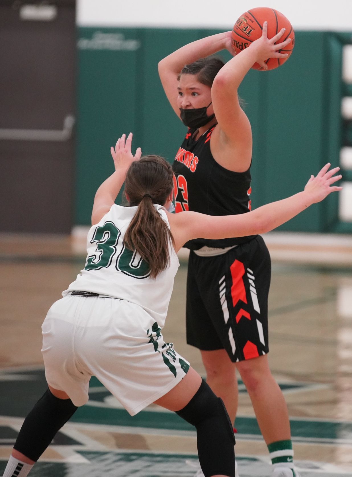 Fall Creek Elk Mound girls basketball